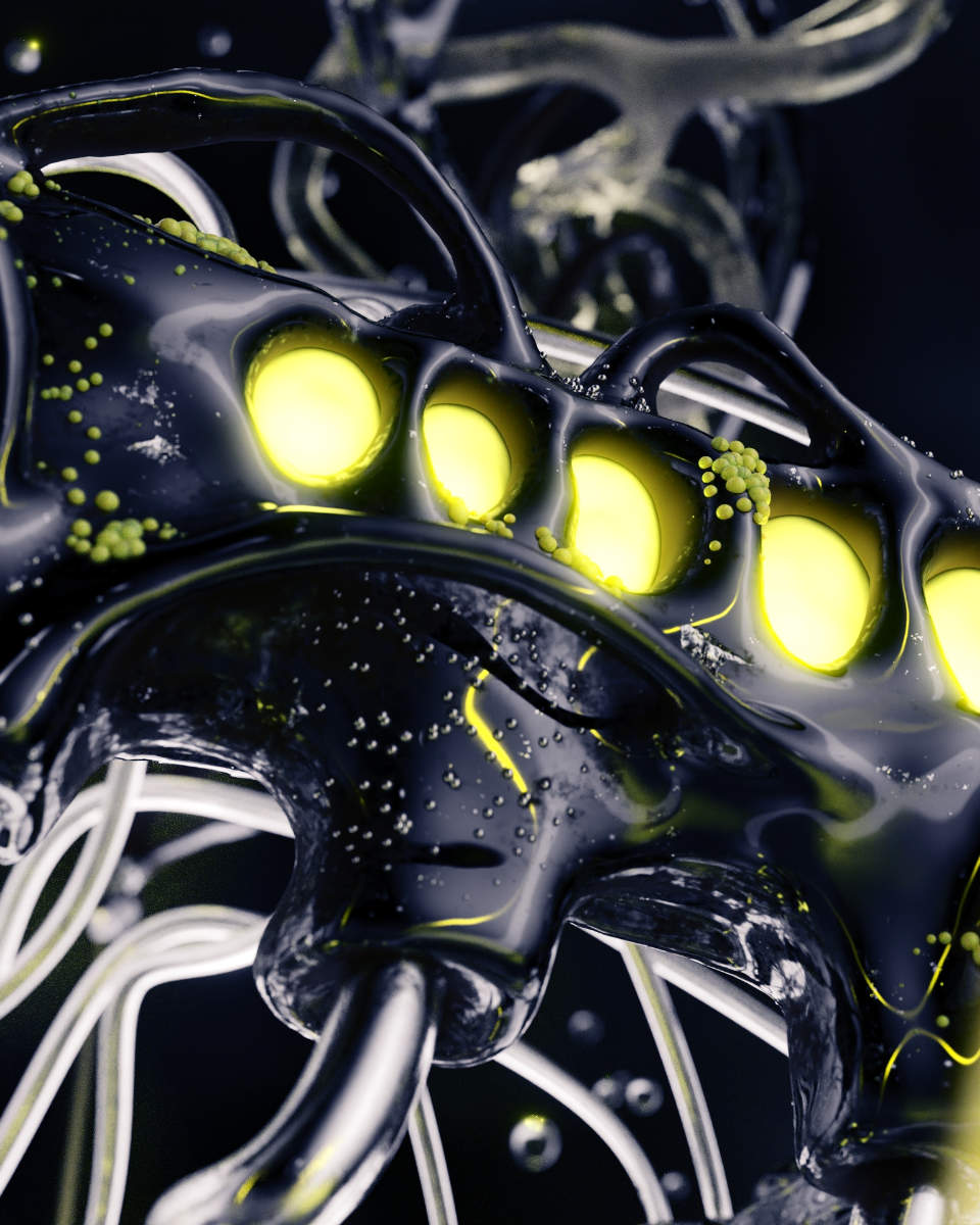 Tobias-Raschbacher-Design_30
