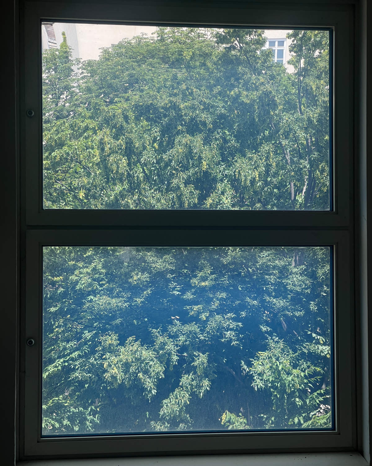Tobias_Raschbacher_Visual-Research_14