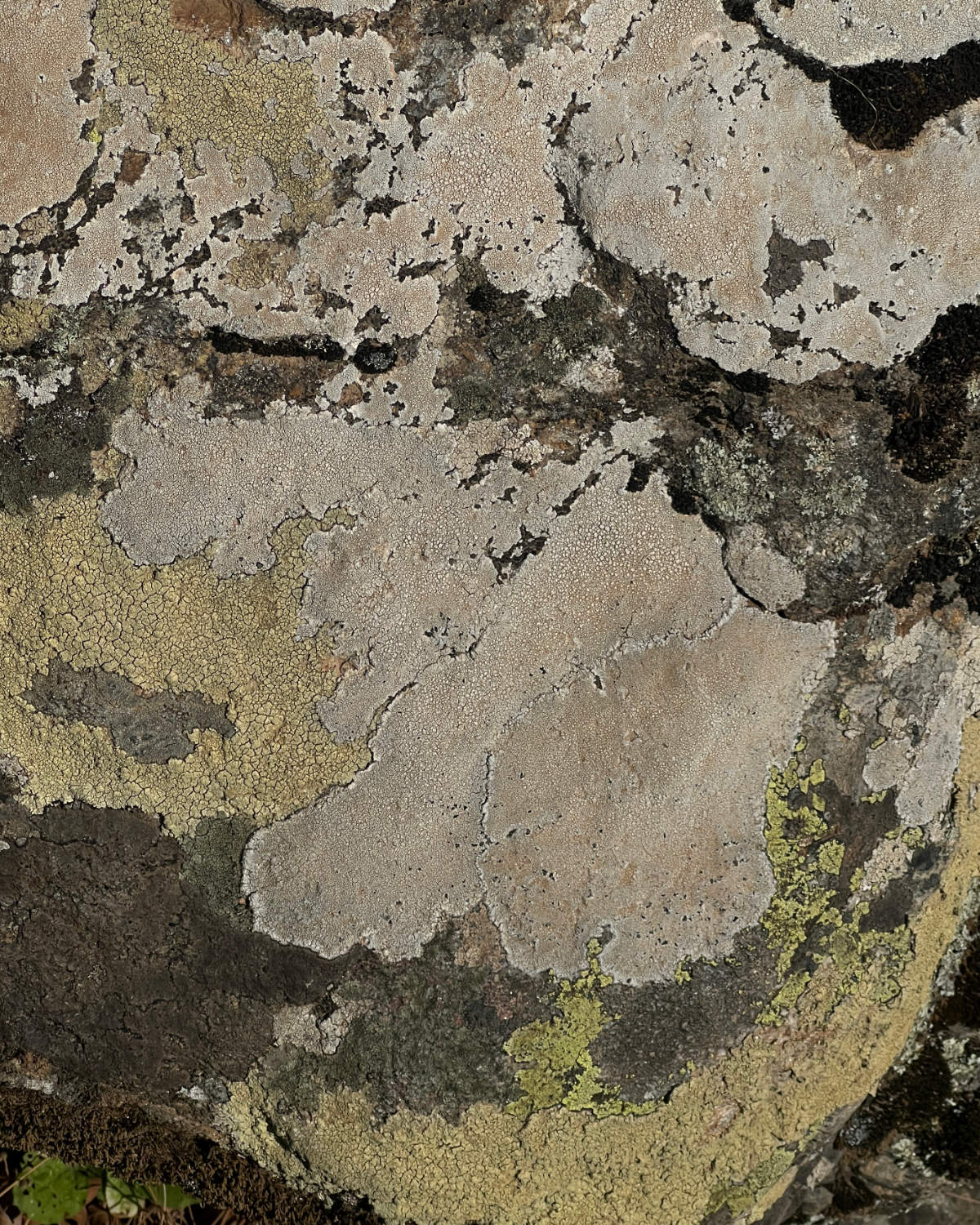 Tobias_Raschbacher_Visual-Research_51